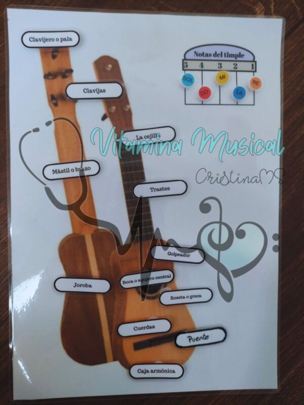 Partes del timple y sus notas al aire