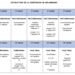 Situación de aprendizaje BALONMANO en 5º y 6º Primaria utilizando el Modelo de Educación Deportiva: incluye sesiones, registros, instrumentos de evaluación y diplomas.