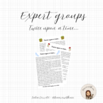 Expert groups – Twice upon a time