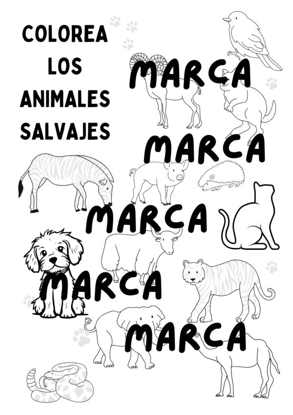colorear animales salvajes y domésticos