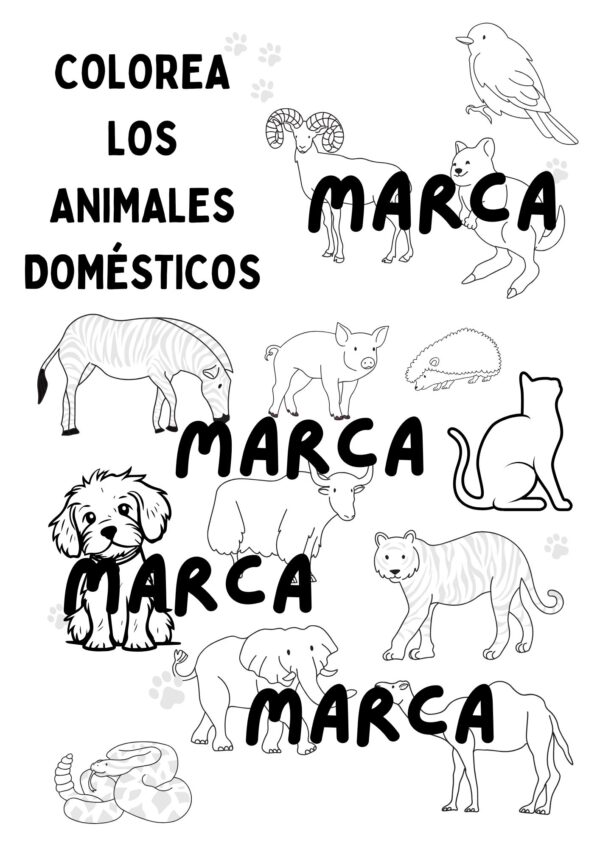 colorear animales salvajes y domésticos - Imagen 2