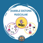 DOBBLE SISTEMA MUSCULAR