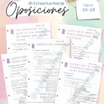 Oposiciones secundaria inglés: Topics 14-18