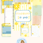 Cuaderno de profe 2026/27